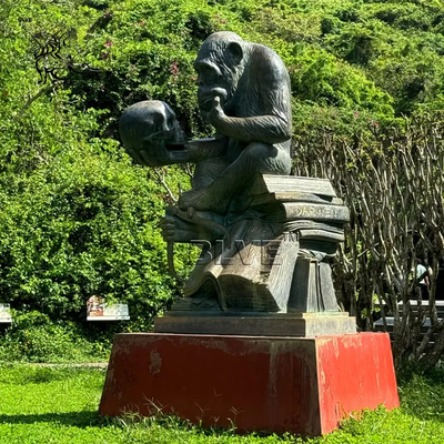 Bronze Gorilla Sculpture Life Size Bronze Apes Sculpture Darwin Outdoor Park School